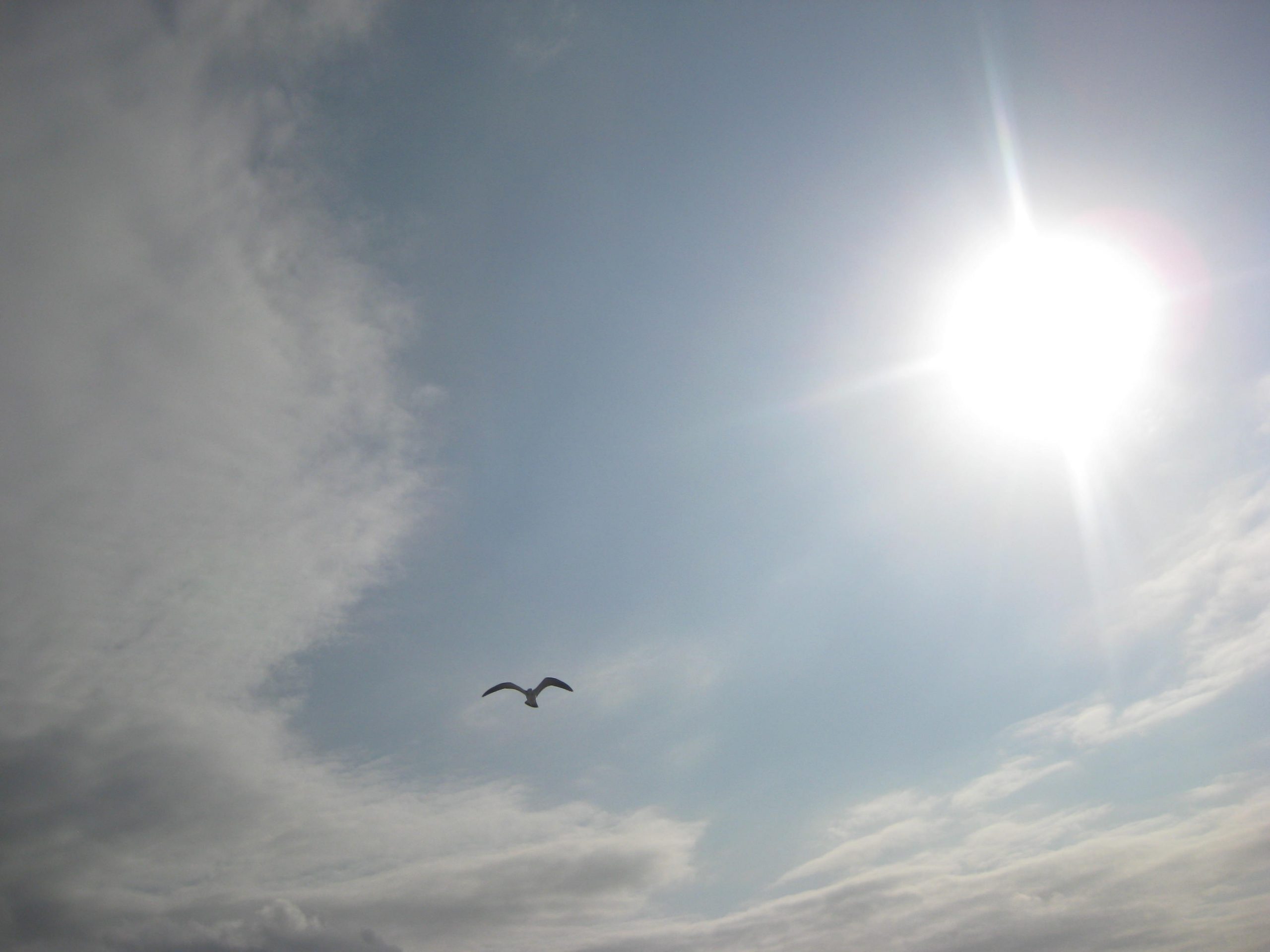 AMANCER IMAGEN DE J LETICIA GARCÍA POLO @mundomujeres